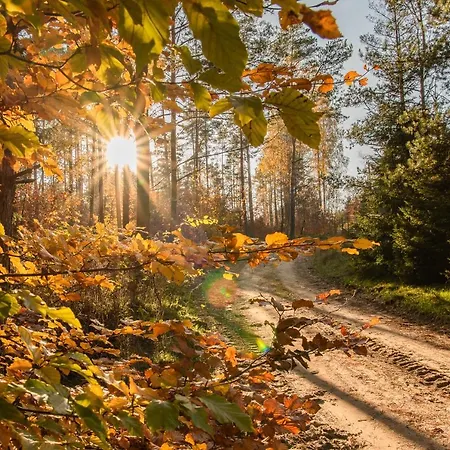 Aleksander Z Basenem, Bania Ruska I Sauna Sulęczyno