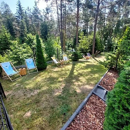 Aleksander Z Basenem, Bania Ruska I Sauna Суленчино