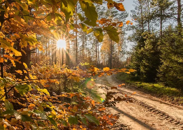 Aleksander Z Basenem, Bania Ruska I Sauna Sulęczyno